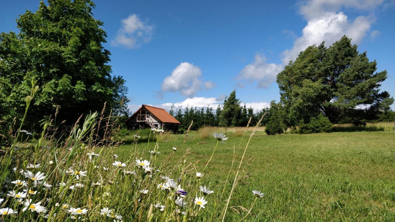 Hotel Suurekivi Kuelalistemaja à Reigi Extérieur photo